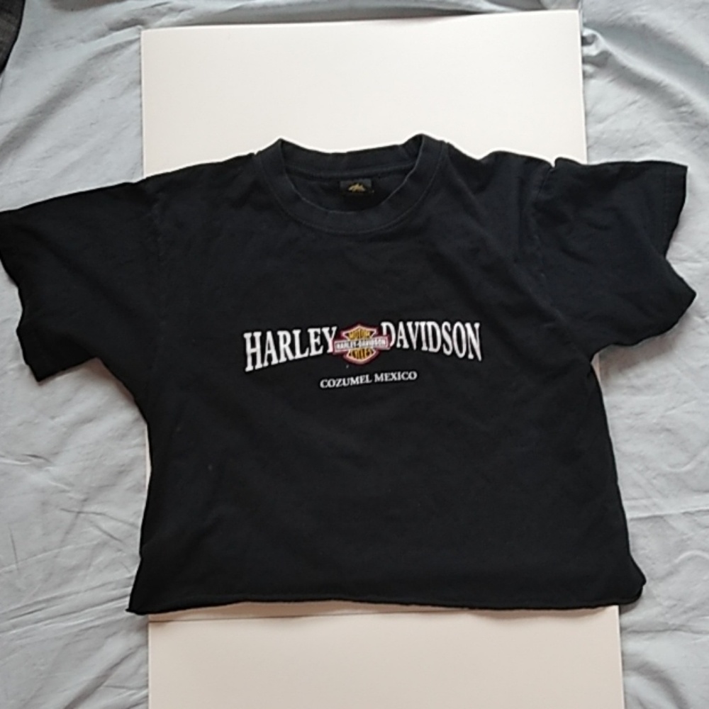 VINTAGE harley davidson cropped tee